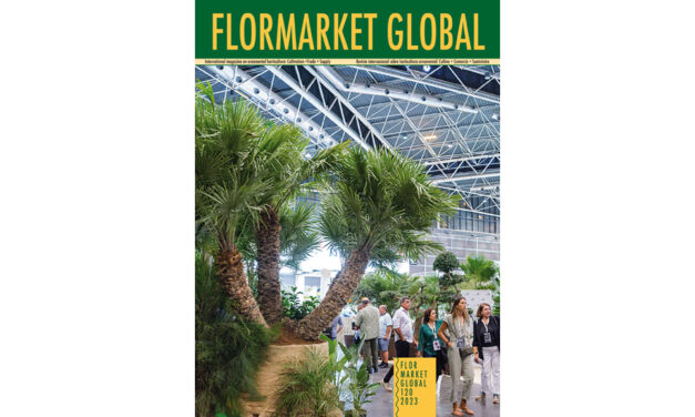 Summary Flormarket Global 120-2023