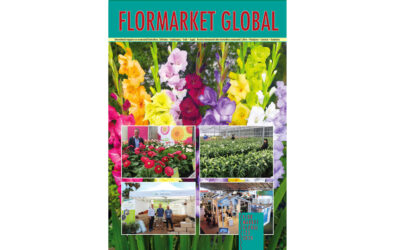 Summary Flormarket Global 123-2024