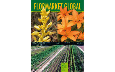Summary Flormarket Global 124-2024
