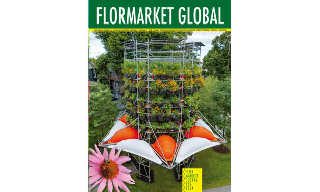 Summary Flormarket Global 125