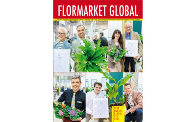 Summary Flormarket Global 126