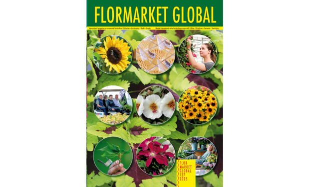 Summary Flormarket Global 127-2025