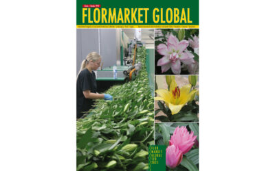 Summary Flormarket Global 128