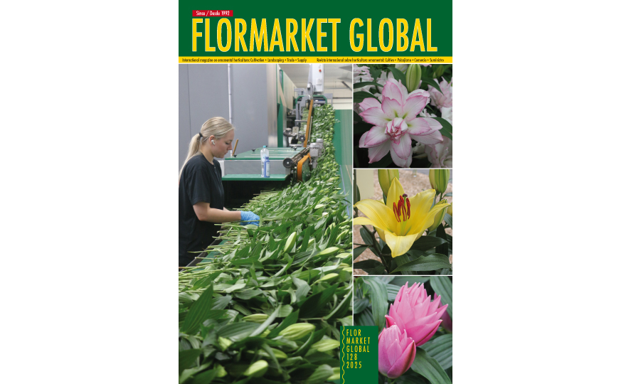 Summary Flormarket Global 128