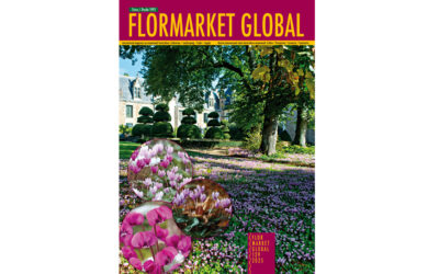 Summary Flormarket Global 129 – 2025