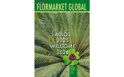 Summary Flormarket Global 130 – 2025