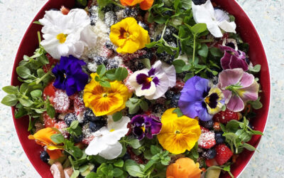 The blooming business of edible flowers Production challenges