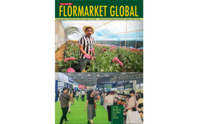Summary Flormarket Global 131
