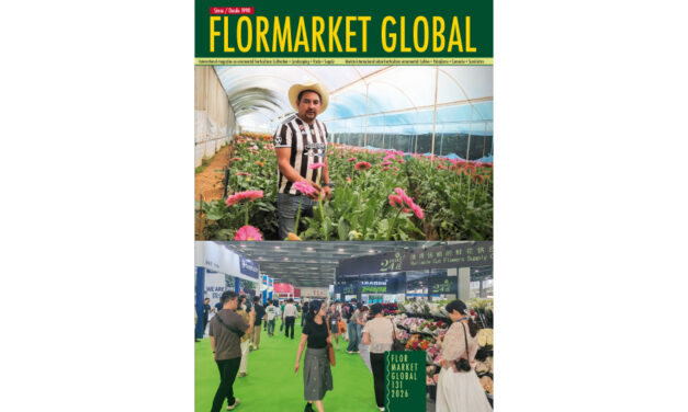 Summary Flormarket Global 131