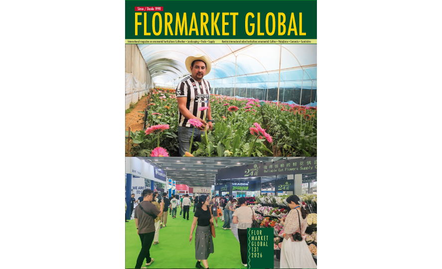 Summary Flormarket Global 131