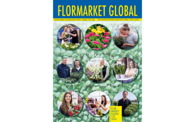 Summary Flormarket Global 132