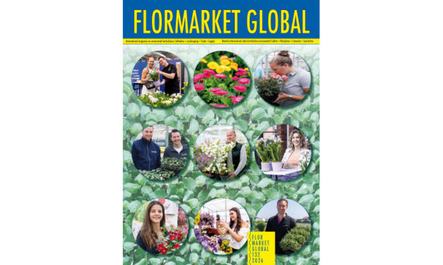 Summary Flormarket Global 132