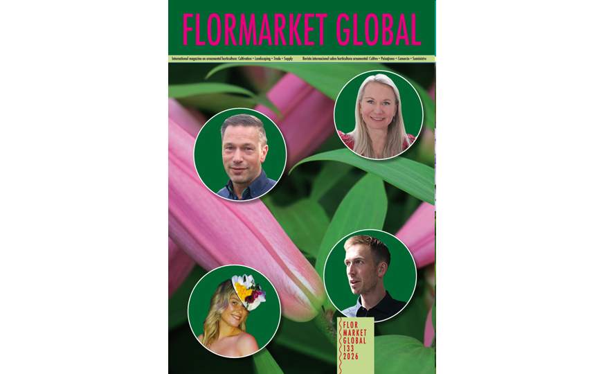 Summary Flormarket Global 133