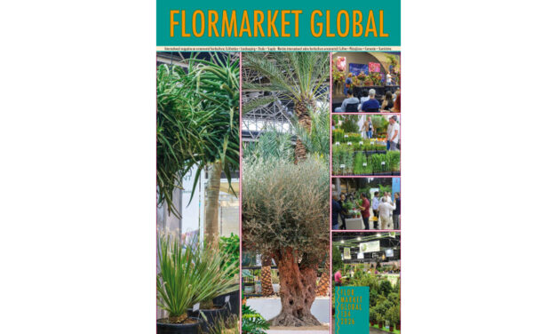 Summary Flormarket Global 134