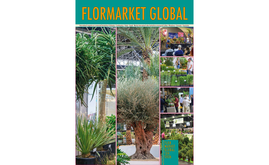 Summary Flormarket Global 134